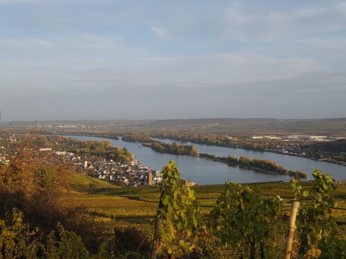 Rheingau Und Weltkulturerbe Mittelrheintal Erleben - Ferienappartement In Winkel Oestrich-Winkel Kültér fotó