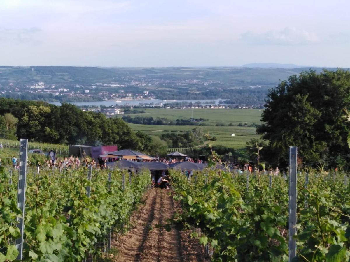 Rheingau Und Weltkulturerbe Mittelrheintal Erleben - Ferienappartement In Winkel Oestrich-Winkel Kültér fotó