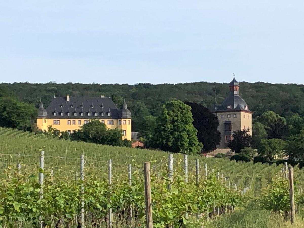 Rheingau Und Weltkulturerbe Mittelrheintal Erleben - Ferienappartement In Winkel Oestrich-Winkel Kültér fotó